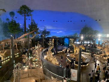 福井県立恐竜博物館に投稿された画像（2023/8/21）