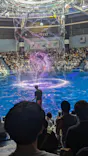 マクセル アクアパーク品川に投稿された画像（2023/8/21）
