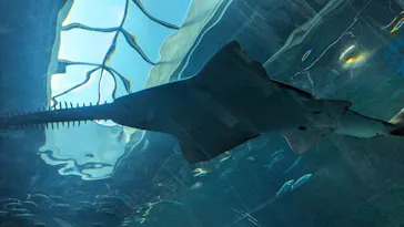 マクセル アクアパーク品川に投稿された画像（2023/8/21）