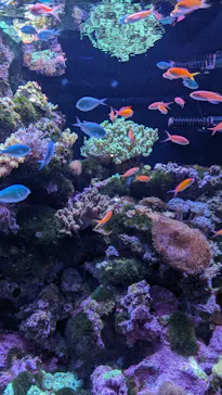 マクセル アクアパーク品川に投稿された画像（2023/8/21）