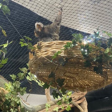 カワスイ 川崎⽔族館に投稿された画像（2023/8/21）