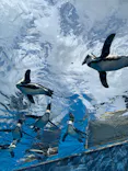 サンシャイン水族館に投稿された画像（2023/8/21）