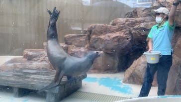 サンシャイン水族館に投稿された画像（2023/8/21）