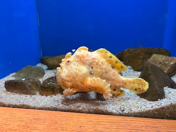 九十九島パールシーリゾートに投稿された画像（2023/8/21）