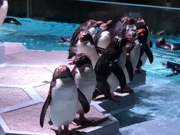 AOAO SAPPOROに投稿された画像（2023/8/21）