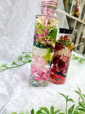 ずこうしつ〜sugamo〜に投稿された画像（2023/8/21）