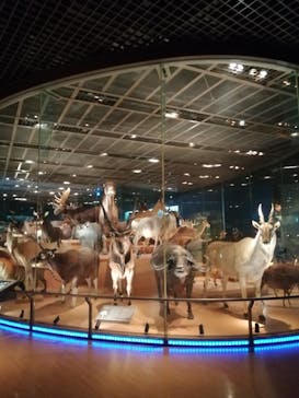 国立科学博物館に投稿された画像（2023/8/21）