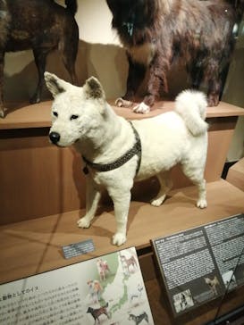 国立科学博物館に投稿された画像（2023/8/21）