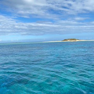 M.a.r.i.n.e Factoryに投稿された画像（2023/8/21）