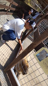 淡路ファームパーク イングランドの丘に投稿された画像（2023/8/21）