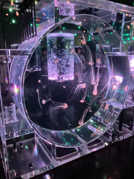 マクセル アクアパーク品川に投稿された画像（2023/8/21）