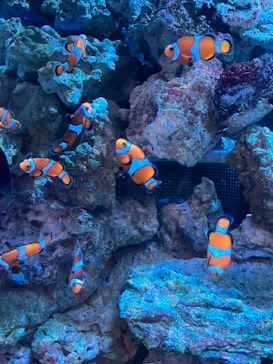 マクセル アクアパーク品川に投稿された画像（2023/8/21）