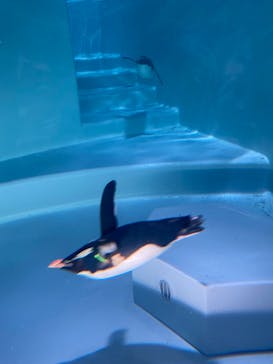 AOAO SAPPOROに投稿された画像（2023/8/21）