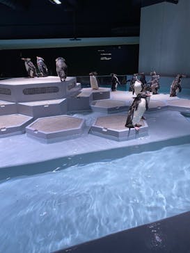 AOAO SAPPOROに投稿された画像（2023/8/21）