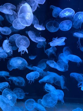 AOAO SAPPOROに投稿された画像（2023/8/21）