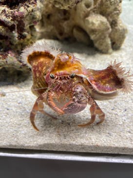 AOAO SAPPOROに投稿された画像（2023/8/21）