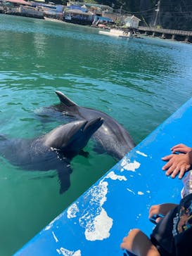 下田海中水族館に投稿された画像（2023/8/21）