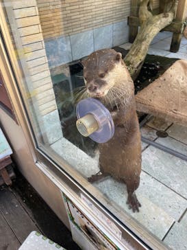 下田海中水族館に投稿された画像（2023/8/21）