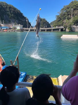 下田海中水族館に投稿された画像（2023/8/21）