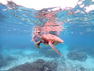 宮古島マリン GB QUESTに投稿された画像（2023/8/21）