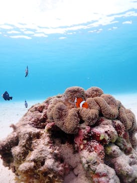 宮古島マリン GB QUESTに投稿された画像（2023/8/21）