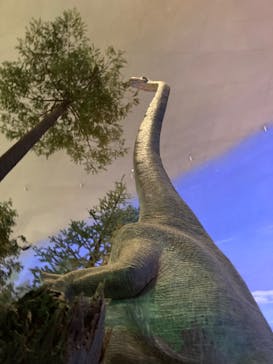 福井県立恐竜博物館に投稿された画像（2023/8/21）