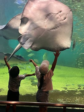越前松島水族館に投稿された画像（2023/8/21）