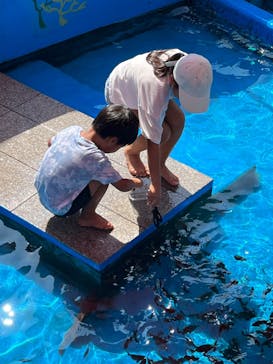 越前松島水族館に投稿された画像（2023/8/21）