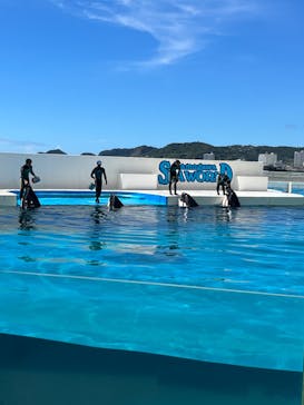 鴨川シーワールドに投稿された画像（2023/8/21）