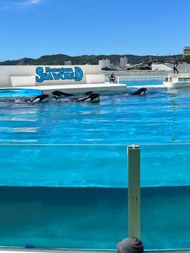 鴨川シーワールドに投稿された画像（2023/8/21）