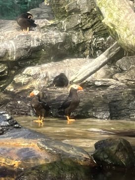 鴨川シーワールドに投稿された画像（2023/8/21）