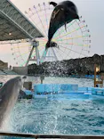 名古屋港水族館に投稿された画像（2023/8/21）