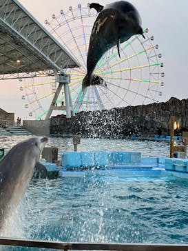 名古屋港水族館に投稿された画像（2023/8/21）