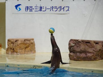 伊豆・三津シーパラダイスに投稿された画像（2023/8/21）