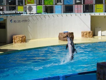 伊豆・三津シーパラダイスに投稿された画像（2023/8/21）