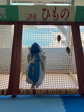 伊豆・三津シーパラダイスに投稿された画像（2023/8/21）