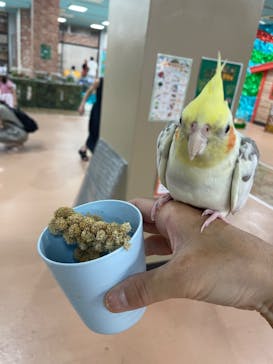 いきもの探検隊上尾に投稿された画像（2023/8/21）