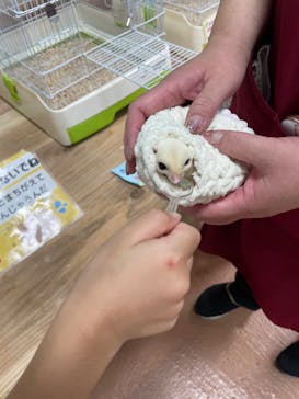 いきもの探検隊上尾に投稿された画像（2023/8/21）