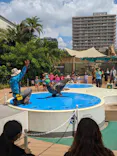 サンシャイン水族館に投稿された画像（2023/8/21）