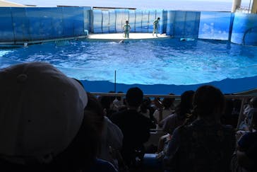 新江ノ島水族館に投稿された画像（2023/8/21）