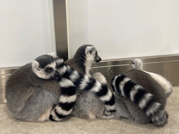 アニタッチみなとみらいに投稿された画像（2023/8/21）