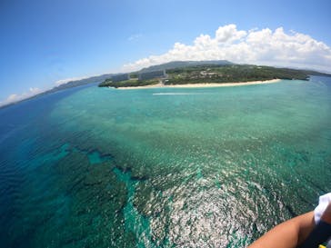 Sea World（シーワールド）に投稿された画像（2023/8/21）