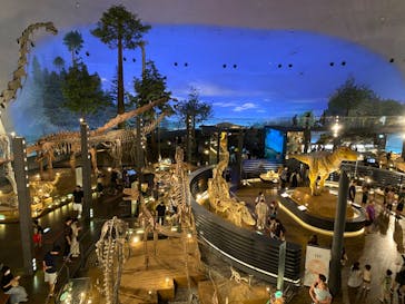 福井県立恐竜博物館に投稿された画像（2023/8/21）