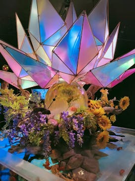 NARA KINGYO MUSEUMに投稿された画像（2023/8/21）