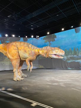 福井県立恐竜博物館に投稿された画像（2023/8/21）