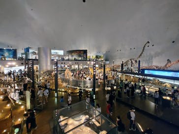 福井県立恐竜博物館に投稿された画像（2023/8/21）