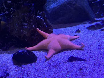 マリンワールド海の中道に投稿された画像（2023/8/21）