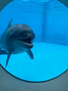 マリンワールド海の中道に投稿された画像（2023/8/21）