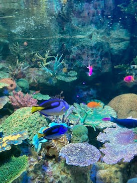 サンシャイン水族館に投稿された画像（2023/8/21）