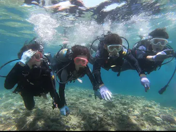 武藤潜水に投稿された画像（2023/8/21）